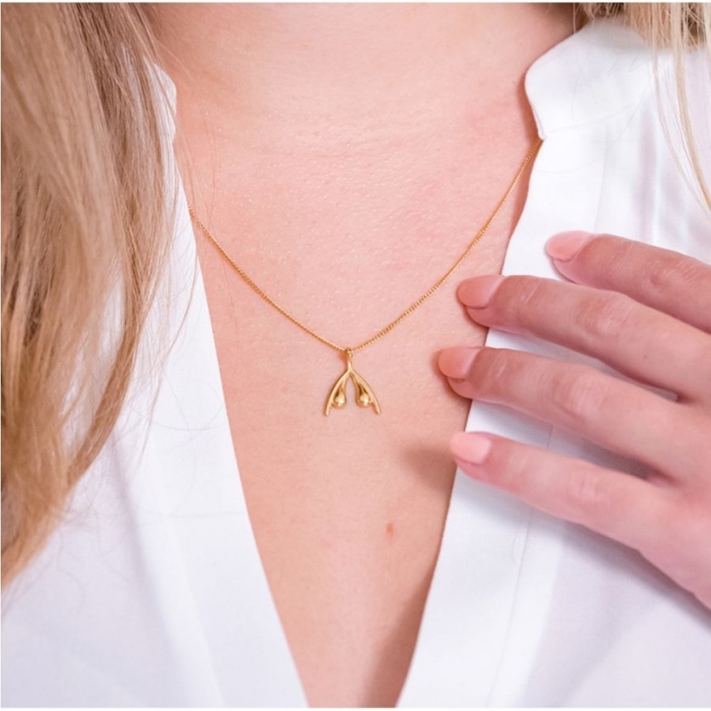 Elegant Gold Wishbone Necklace
